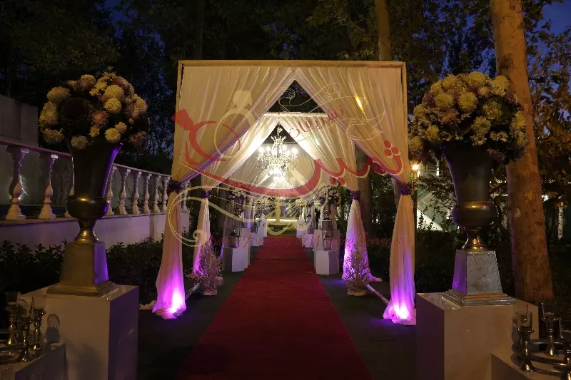 عکس های گالری