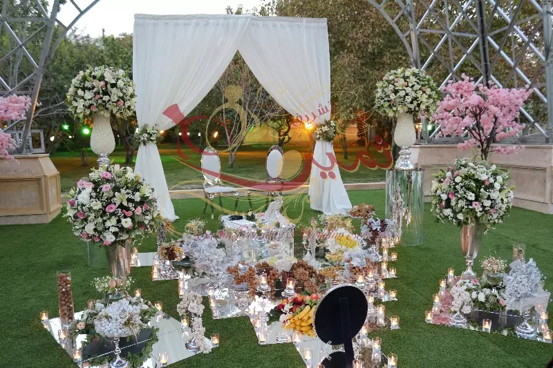 عکس های گالری