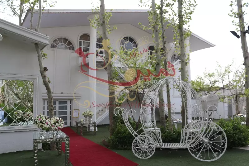 عکس های گالری