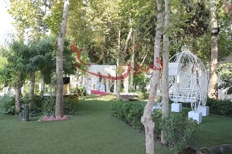 عکس های گالری