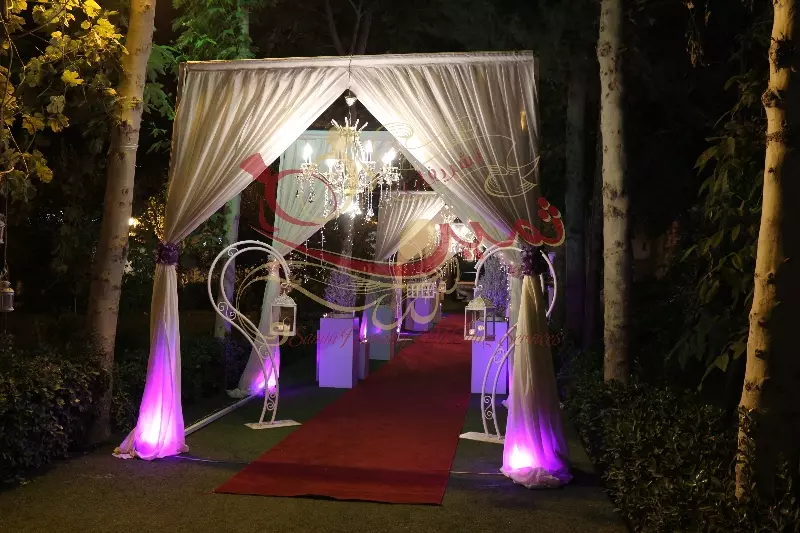 عکس های گالری