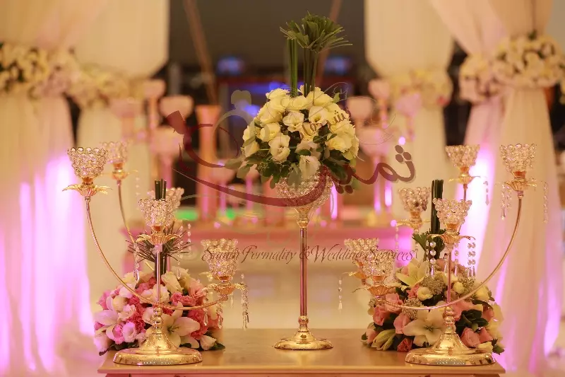 عکس های گالری