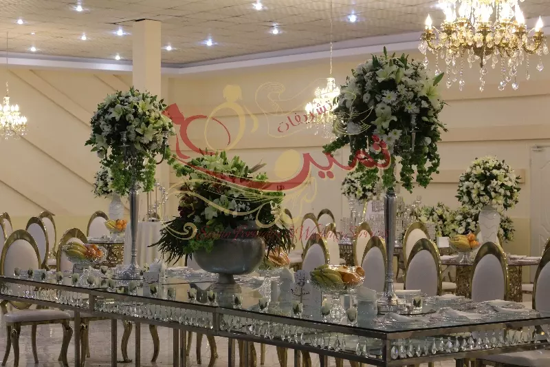 عکس های گالری