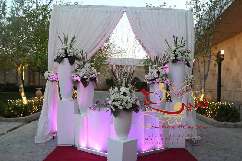 عکس های گالری