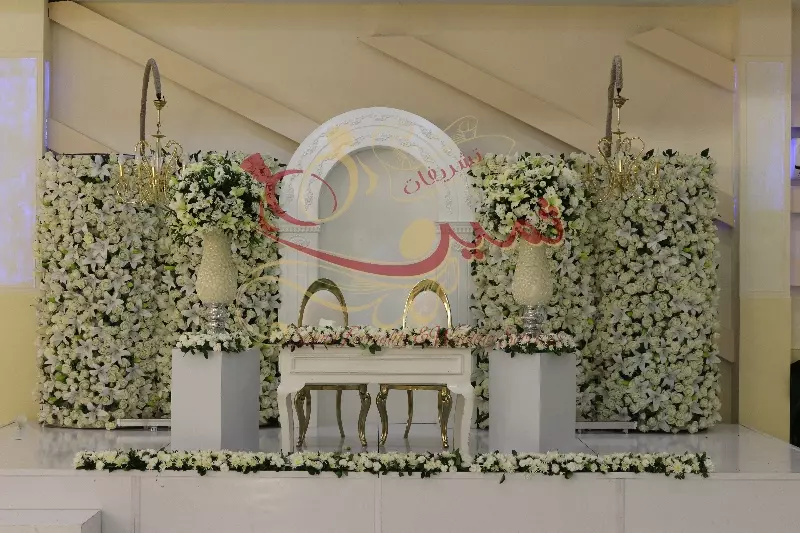 عکس های گالری