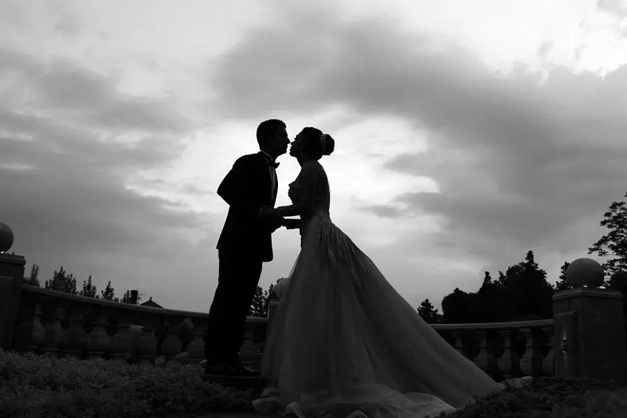 عکس های گالری