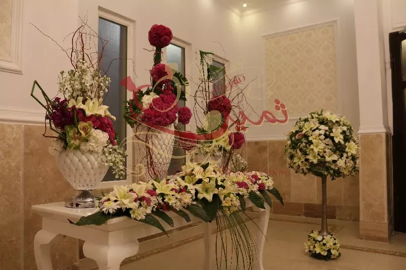 عکس های گالری