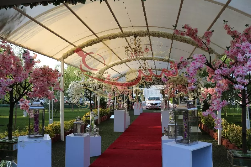 عکس های گالری