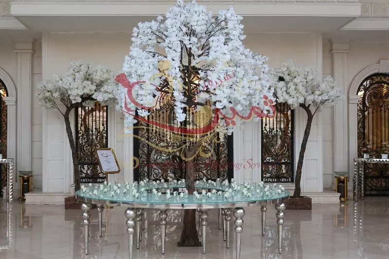 عکس های گالری