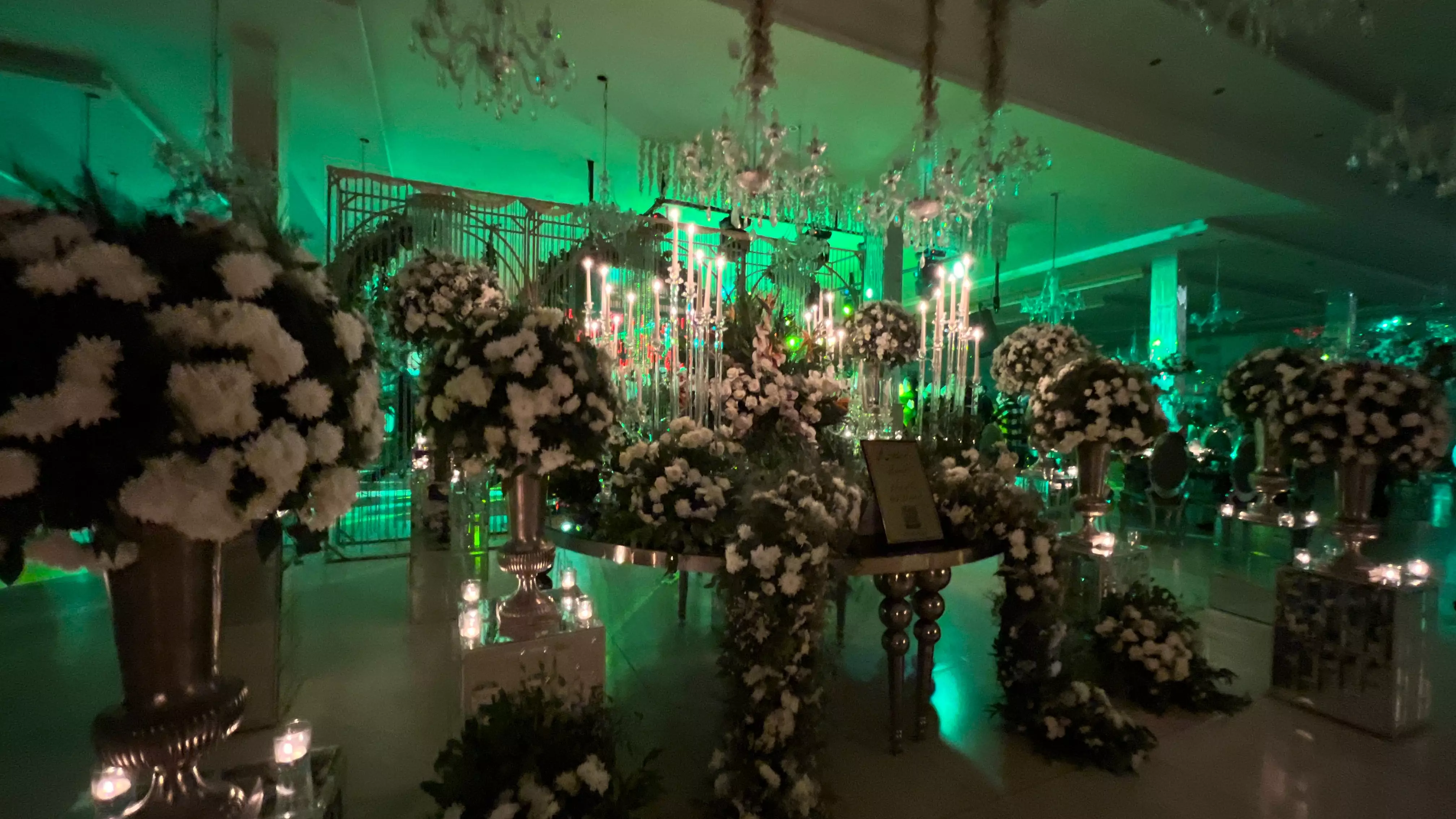 عکس های گالری