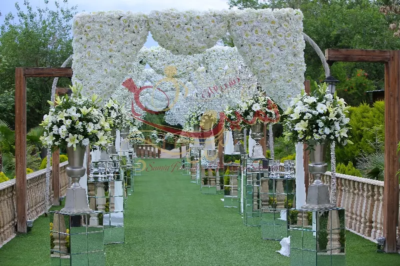 عکس های گالری