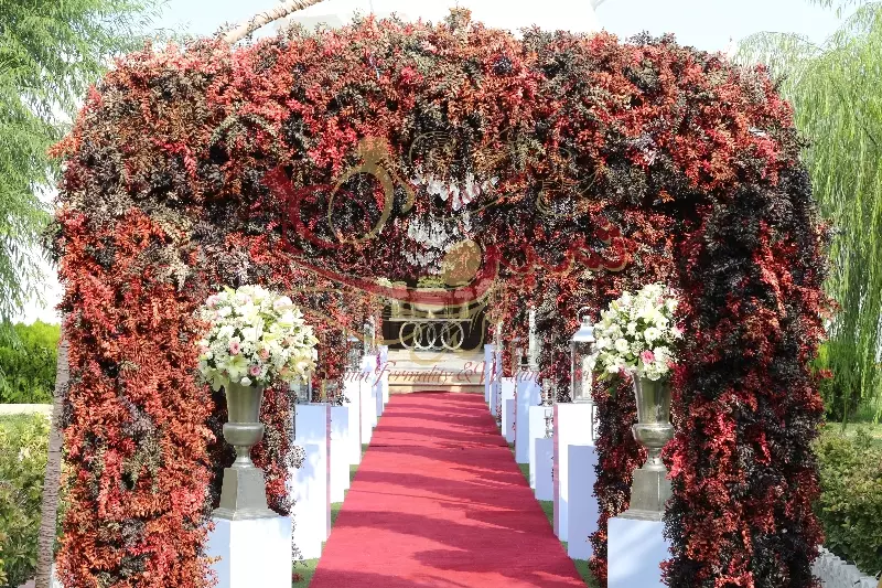 عکس های گالری