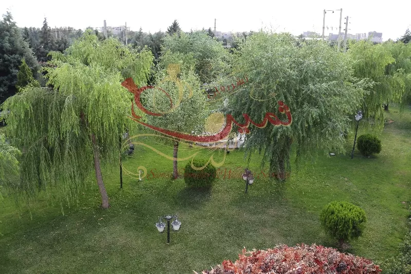 عکس های گالری