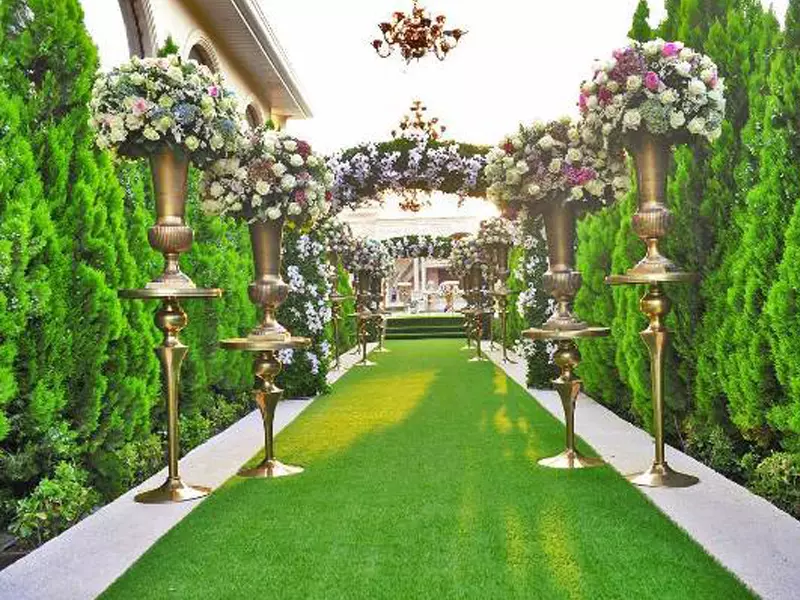 عکس های گالری