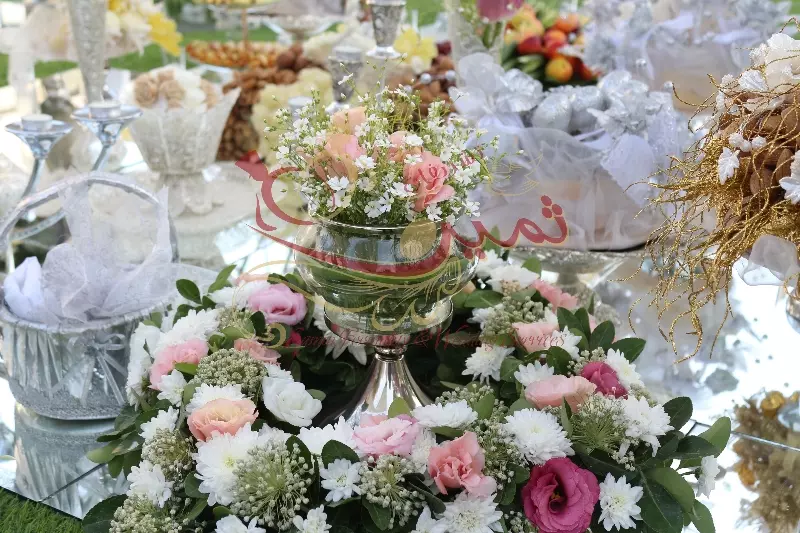 عکس های گالری