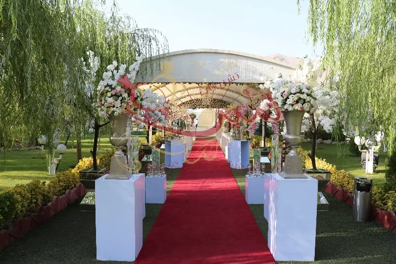 عکس های گالری