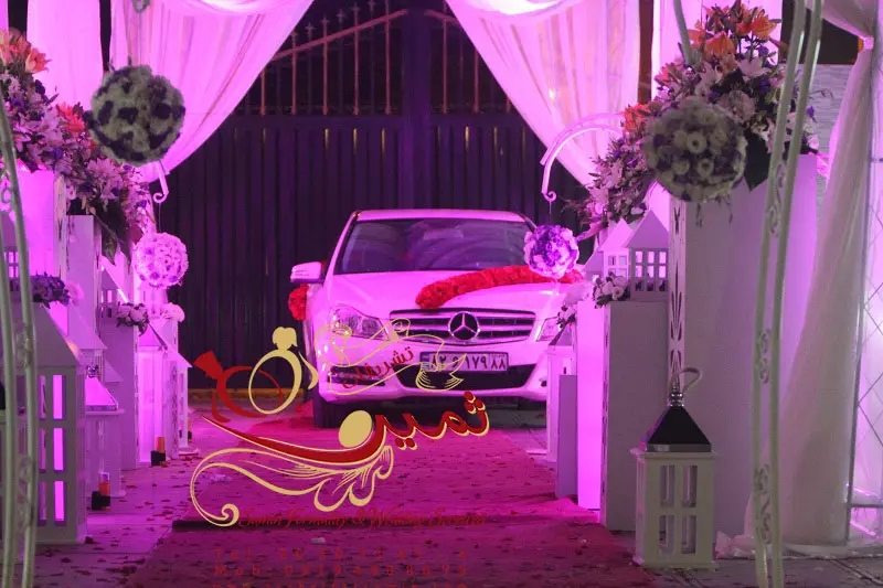 عکس های گالری