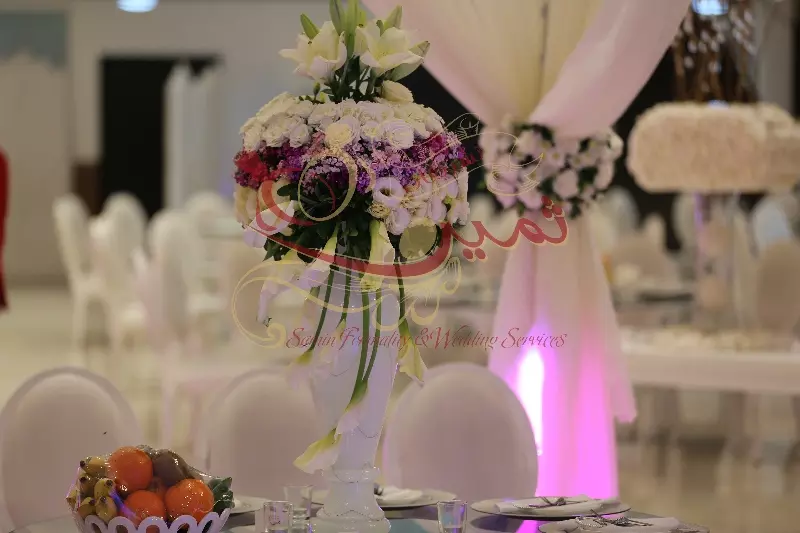 عکس های گالری