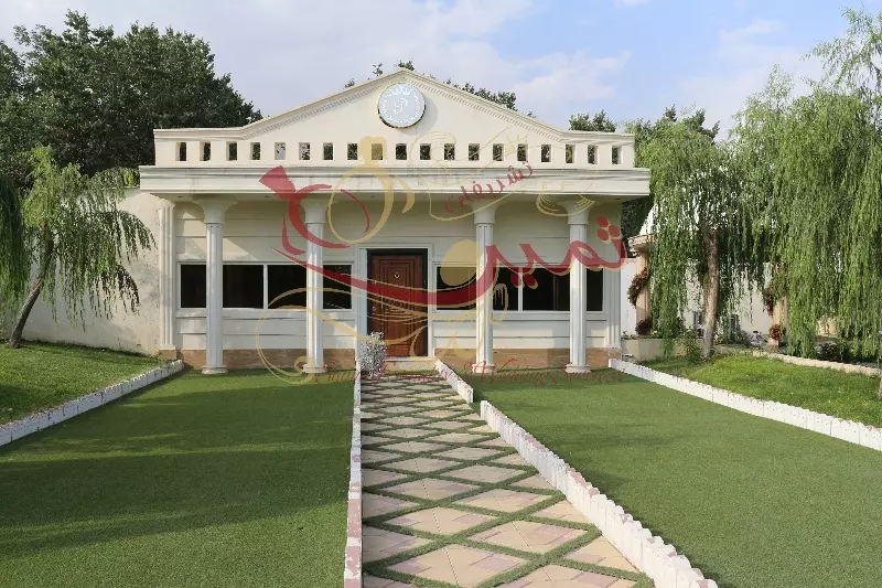 عکس های گالری