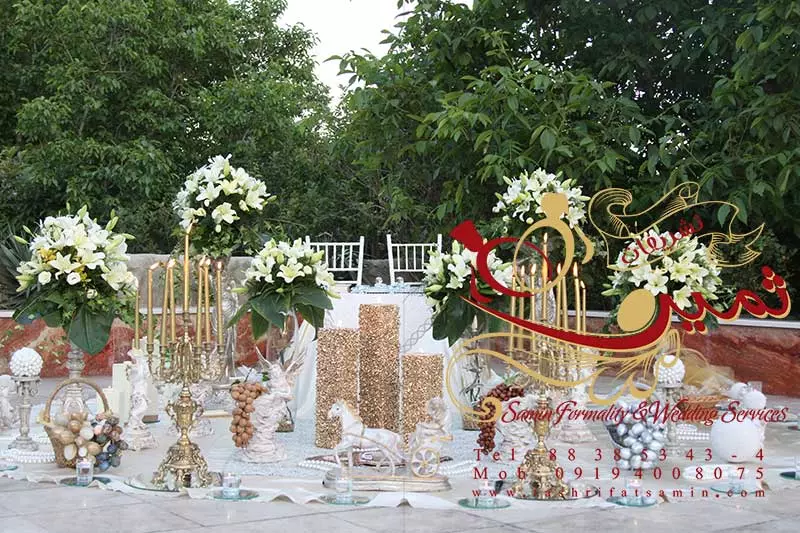 عکس های گالری