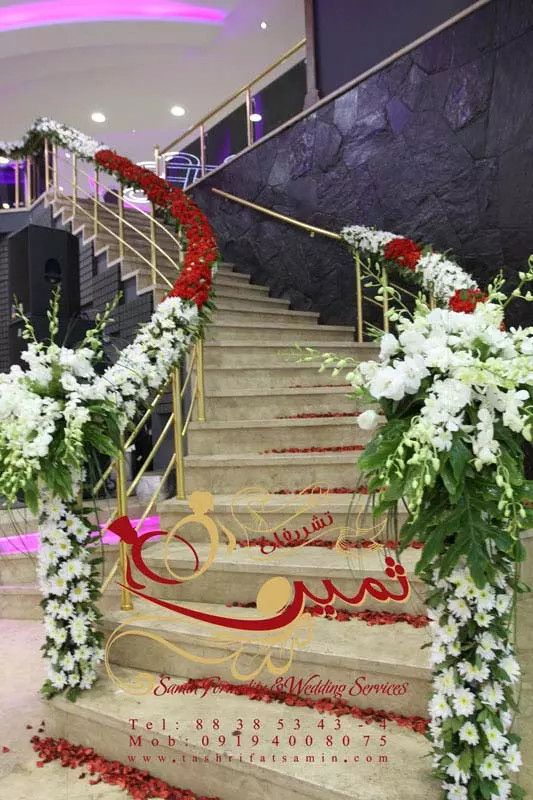 عکس های گالری