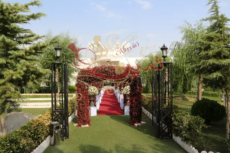 عکس های گالری