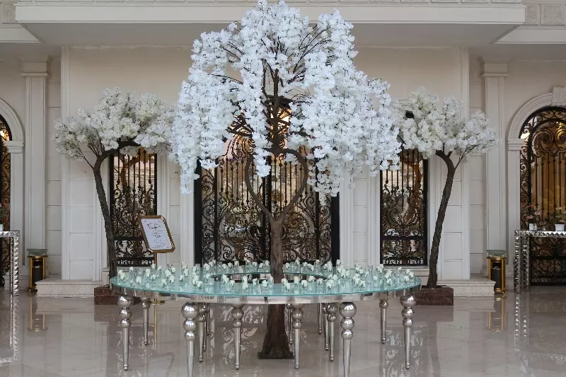 عکس های گالری