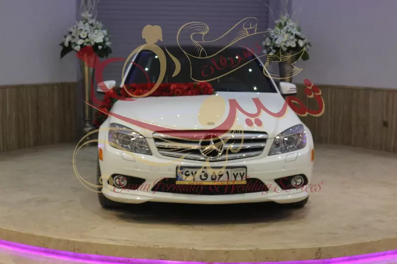 عکس های گالری