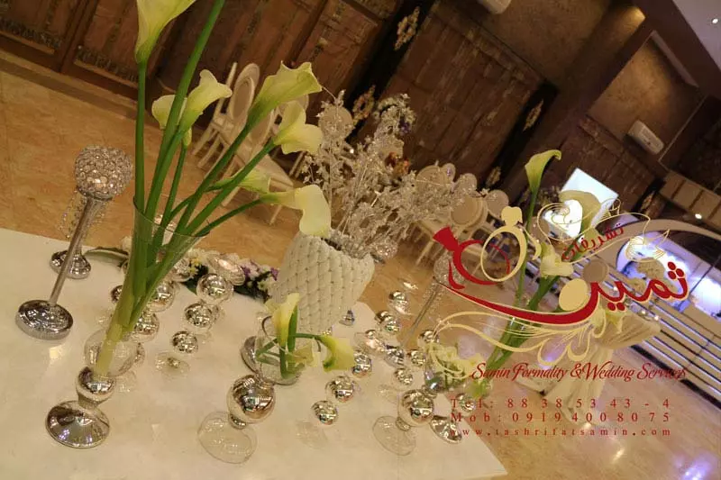 عکس های گالری