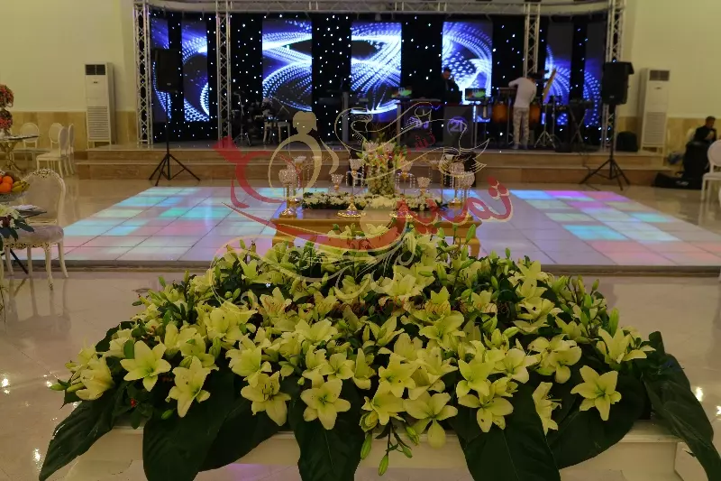 عکس های گالری