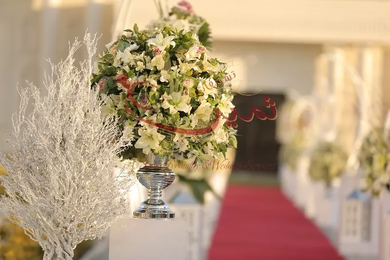 عکس های گالری