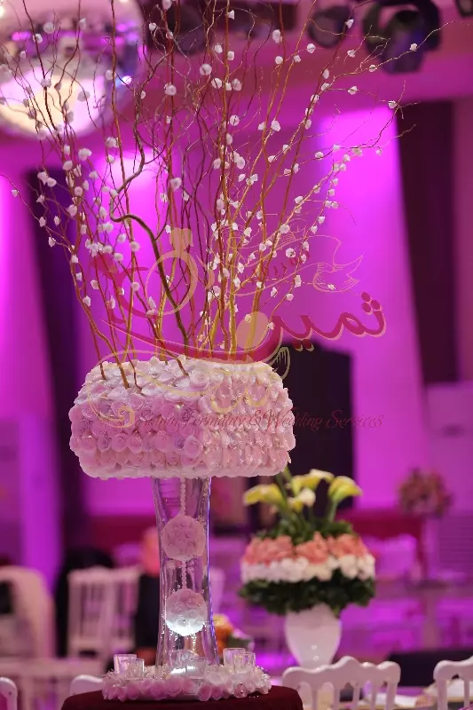 عکس های گالری