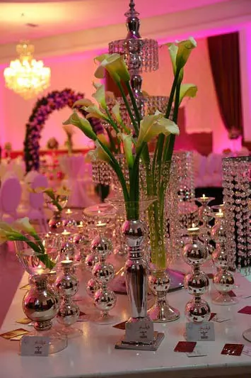 عکس های گالری