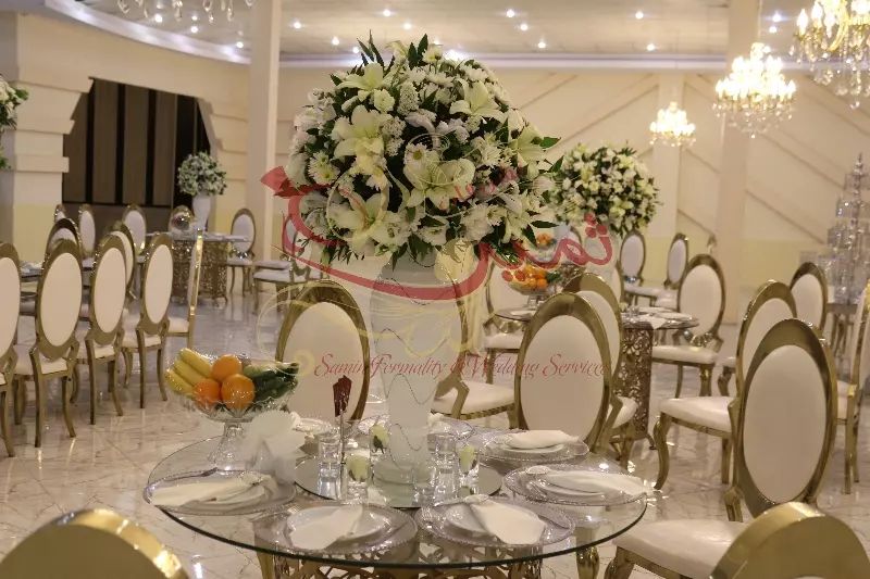 عکس های گالری