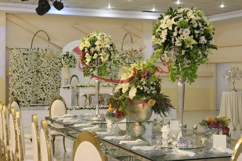 عکس های گالری