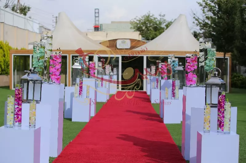 عکس های گالری