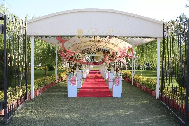 عکس های گالری