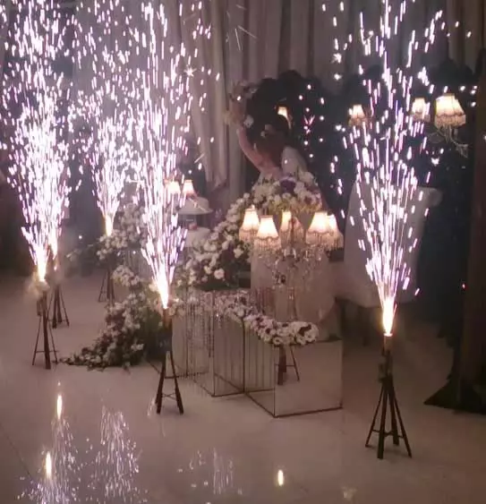 عکس های گالری