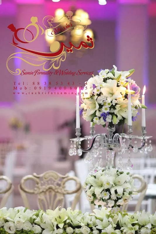 عکس های گالری