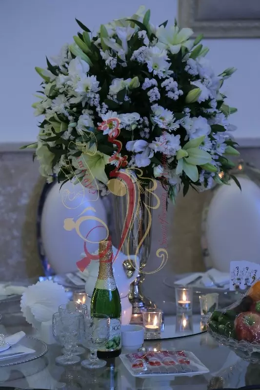 عکس های گالری