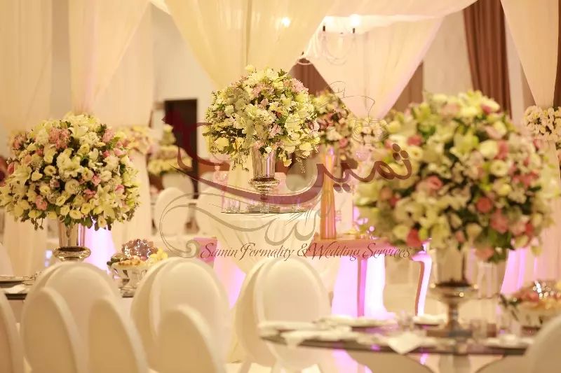 عکس های گالری