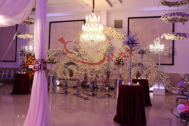 عکس های گالری