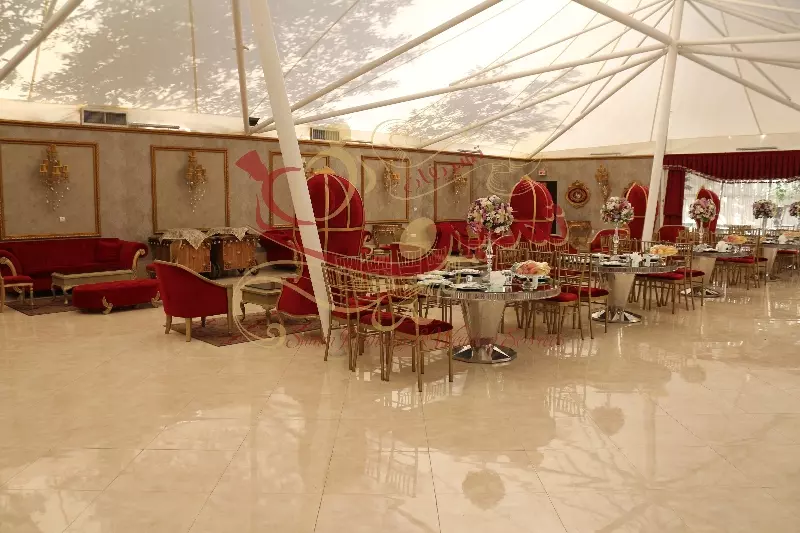 عکس های گالری