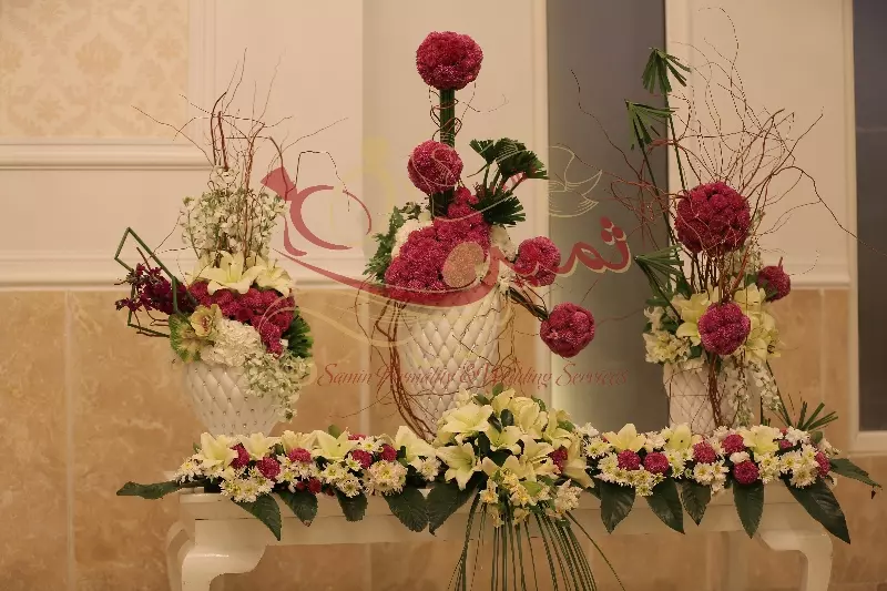 عکس های گالری