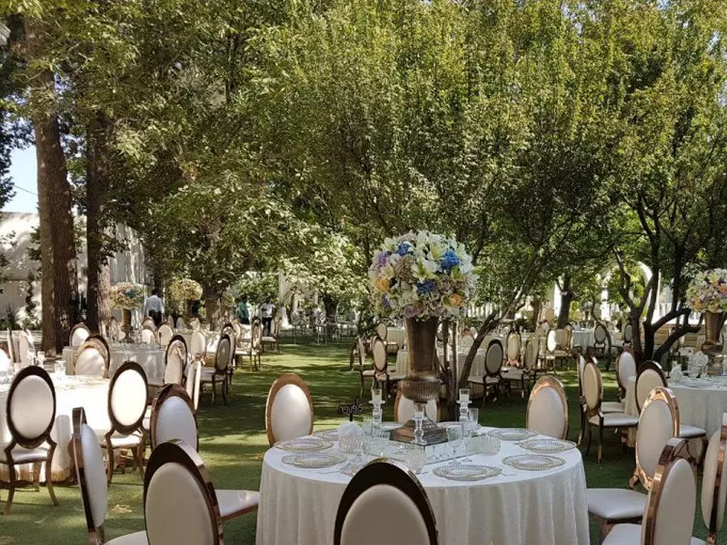 عکس های گالری