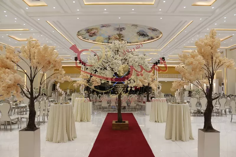 عکس های گالری