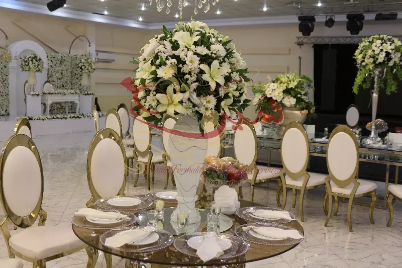 عکس های گالری