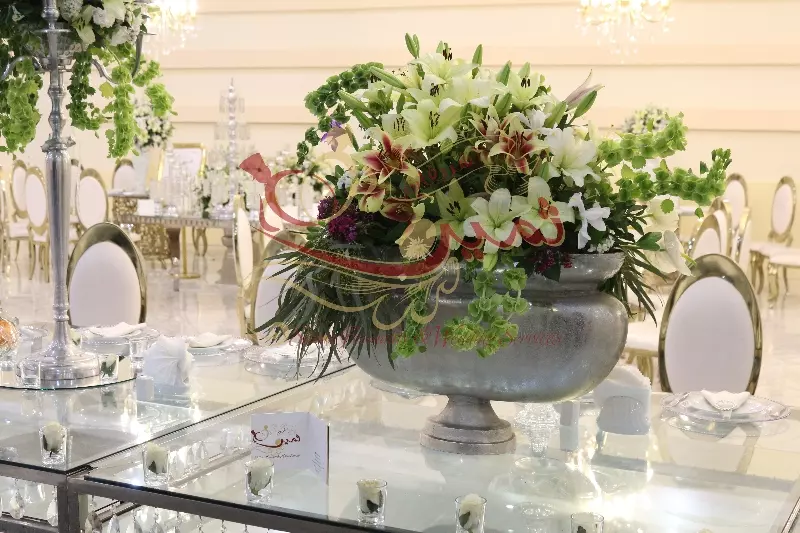 عکس های گالری