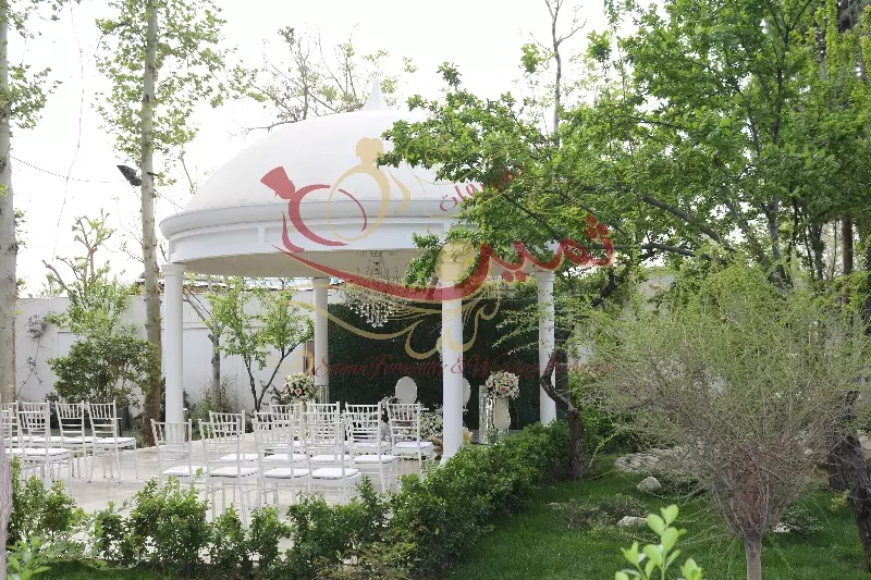 عکس های گالری