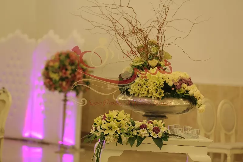 عکس های گالری